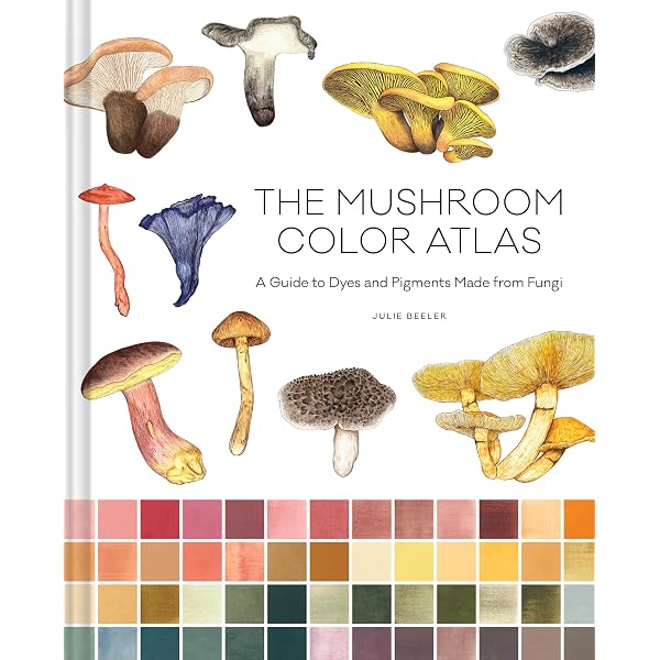 Eco Colour: Botanical dyes for beautiful textiles - Kindle edition